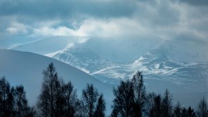 Snowy mountain tops in sunshine with sihouttes of trees in the foreground